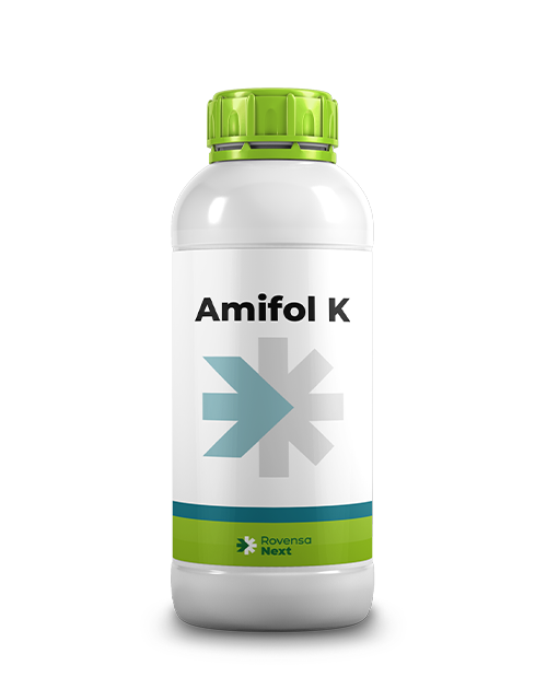 AMIFOL K_1L_SITO WEB